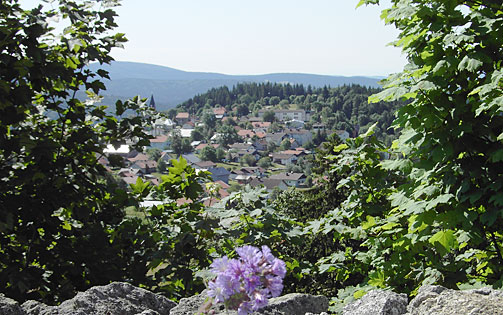 Karte Bayerischer Wald